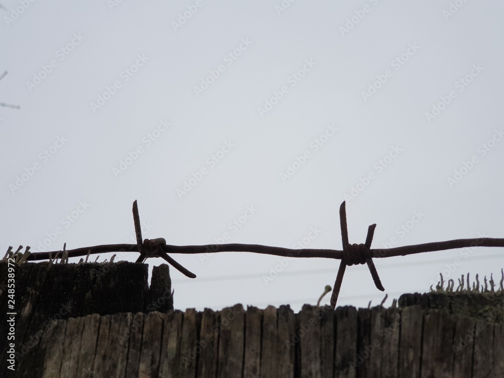 Barbed wire. Barbed wire close up. Barbed wire. Barbed wire close up.