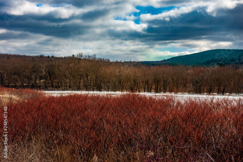 Winter Landscape with green field, mountain and blue sky © Gerard