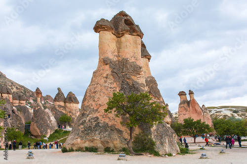 Fairy chimneys in Nevsehir  Goreme  Cappadocia Turkey.