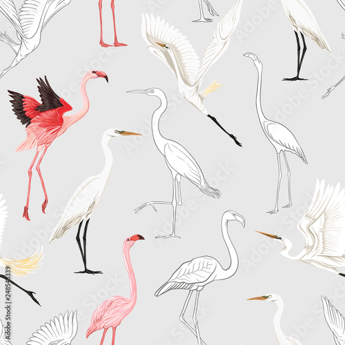 Seamless pattern, background with tropical birds