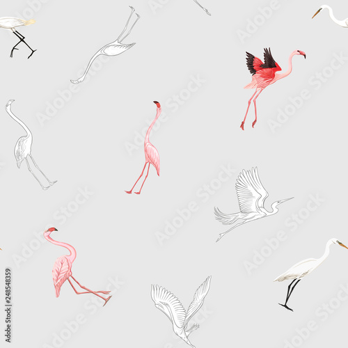 Seamless pattern, background with tropical birds