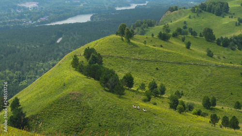 Group of people ride horses by gorgeous mountainside trail.