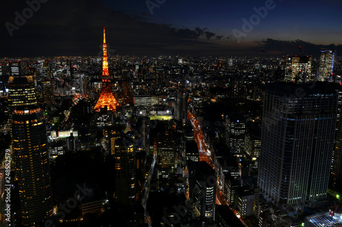 Tokyo city at night, Tokyo Japan © nyker