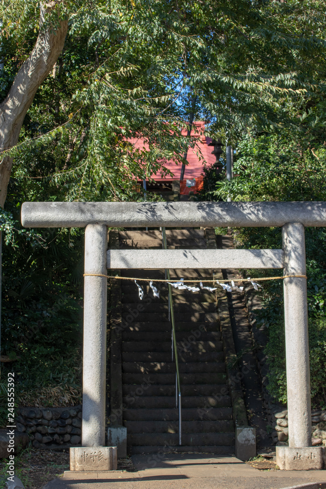 神社の鳥居と階段