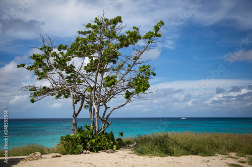 Views from the Caribbean 