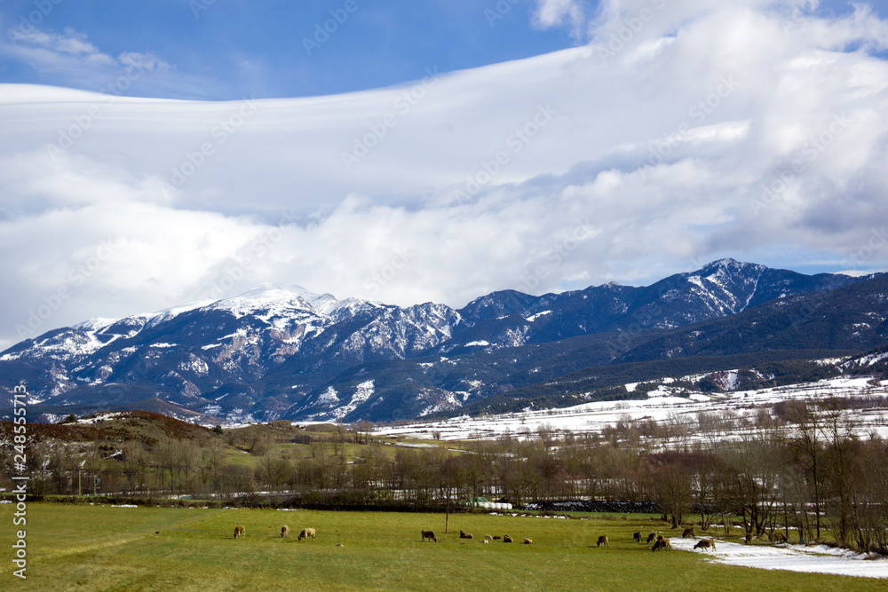 Beautiful llandscape with the pasture at the foot of the mountains.