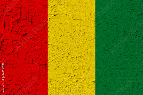 Guinea painted flag