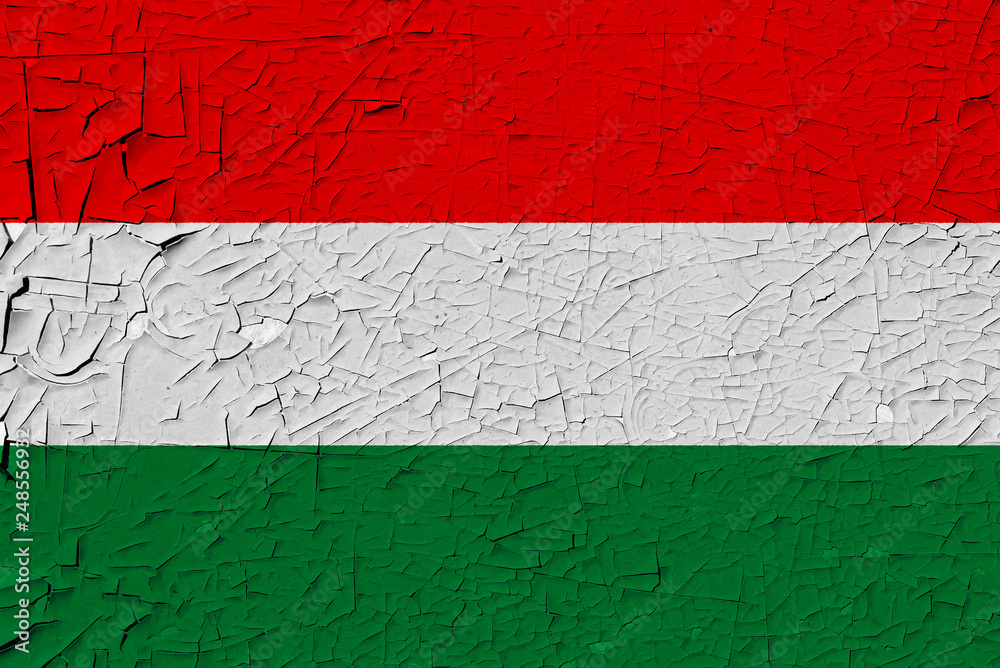 hungary painted flag hungary painted flag