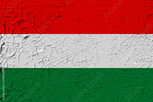 hungary painted flag