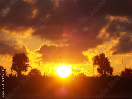 sunset