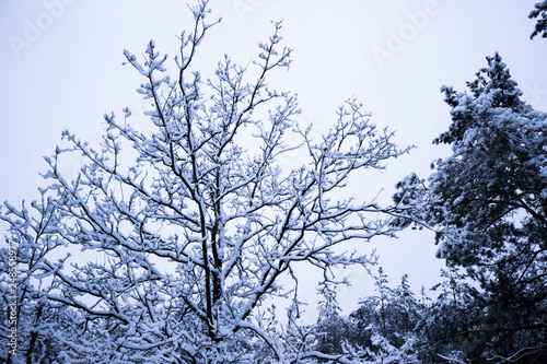 Fototapeta Naklejka Na Ścianę i Meble -  Najpiękniejsze miejsca w Polsce