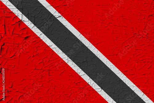 Trinidad and Tobago painted flag