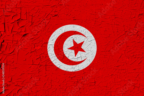 Tunisia painted flag