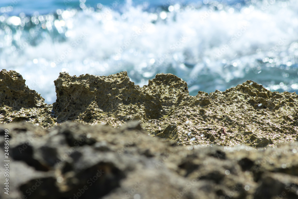 Coral barrier. In the background a wave about to cover it Coral barrier. In the background a wave about to cover it