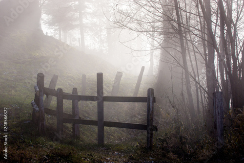 Zugerberg Fog 2 photo