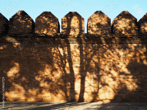 Brick wall strusture with tree shadow photo