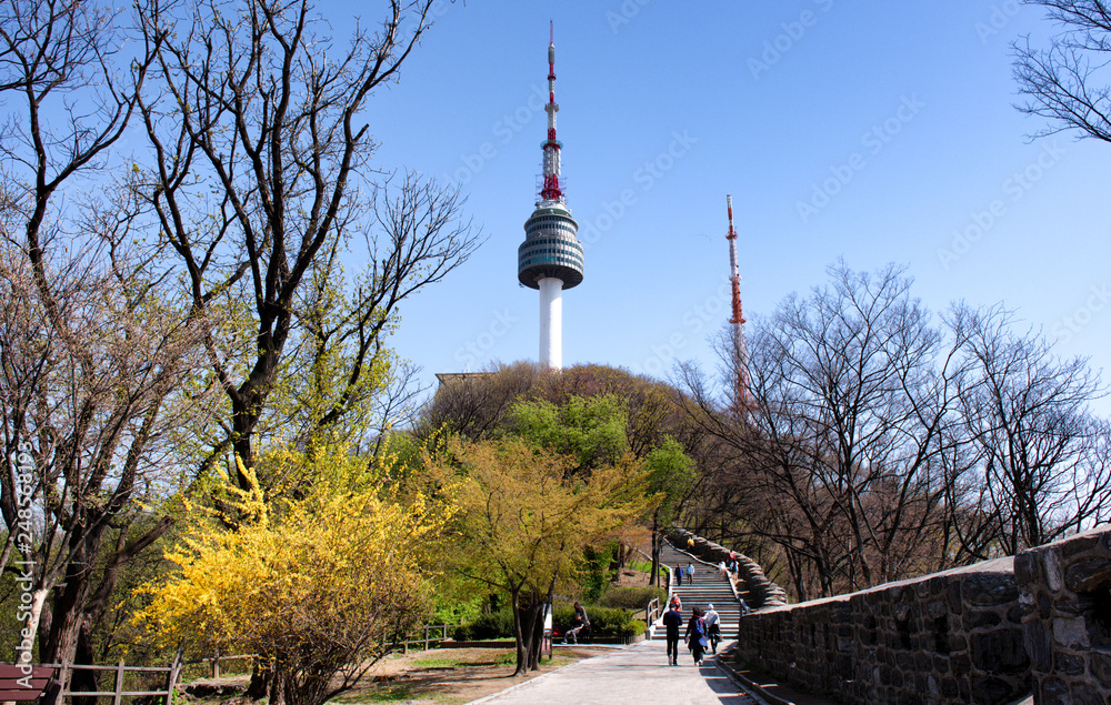 Namsan tower in spring at seoul south Korea