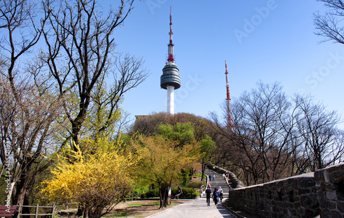 Obraz na płótnie Namsan tower in spring at seoul south Korea w salonie