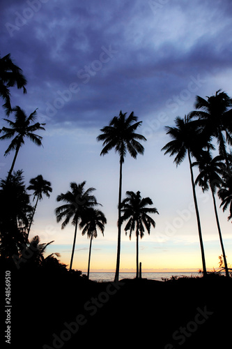 Silhouette palm tree at sky.