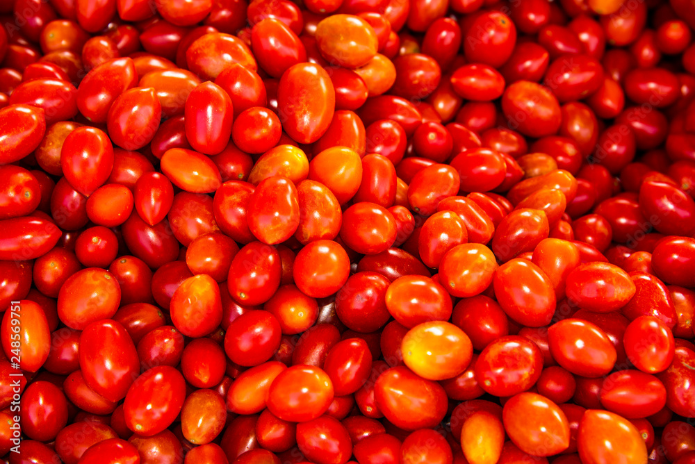 tomatoes in the market tomatoes in the market