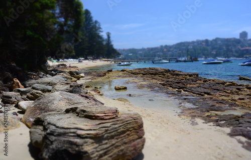 Photography Forty Baskets Beach is a small quiet beach on Manly Cove, perfect for picnics and on the Spit to Manly walkway