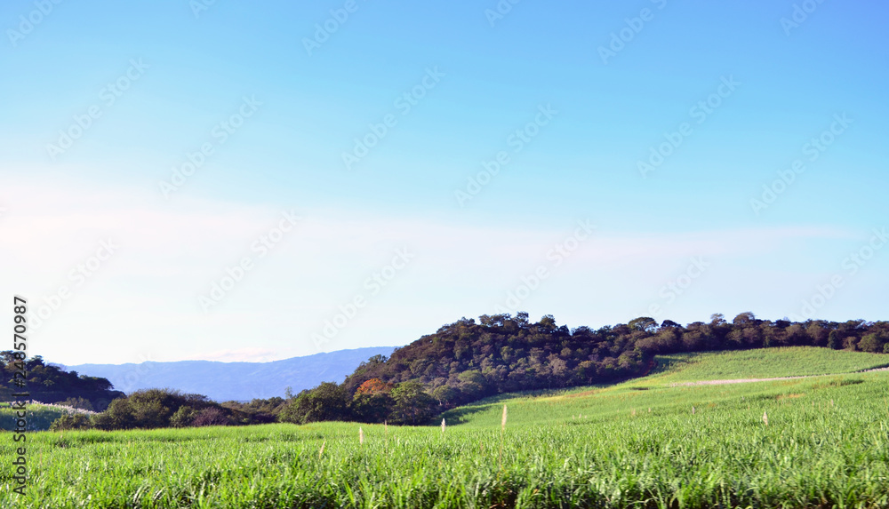 Naklejka premium Mountains view