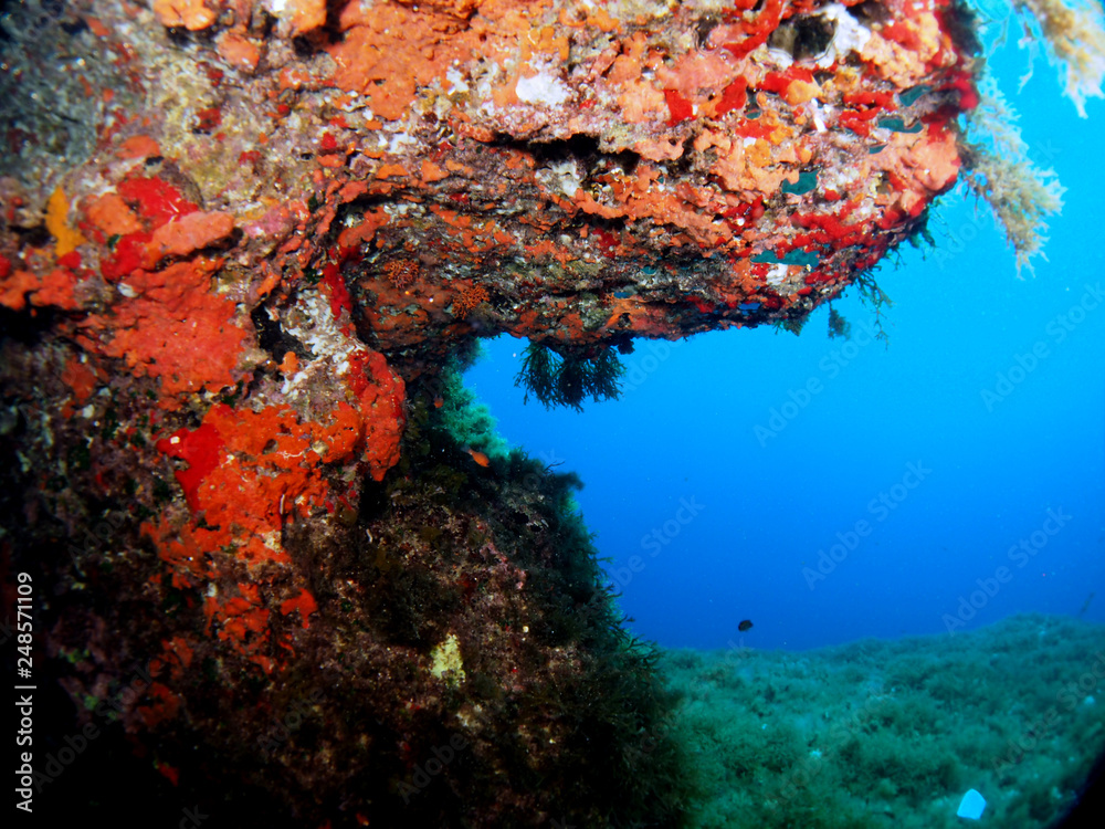 Scuba Diving Malta - Wied iz-Zurrieq Reef