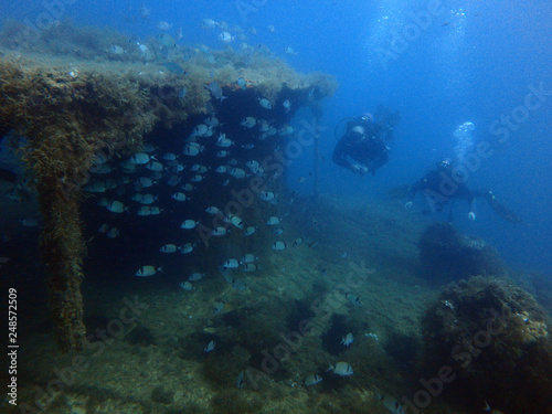 Scuba Diving Malta - Maori Wrech