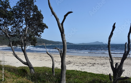 View onto the coast near Seal Rocks on a sunny day. The little island at the southern end of Number One Beach Seal Rocks Myall Lakes National Park Great Lakes NSW Australia.