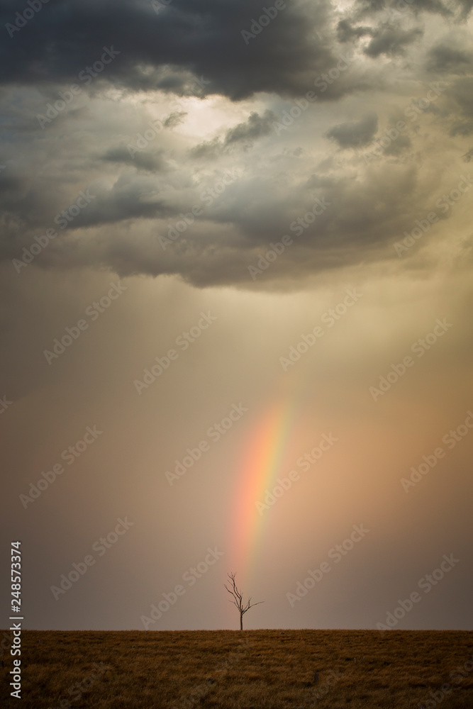 Rainbow ends at a small tree, Queensland