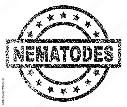 NEMATODES stamp seal watermark with distress style. Designed with rectangle, circles and stars. Black vector rubber print of NEMATODES label with unclean texture.