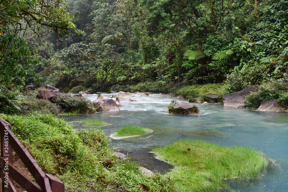 river in forest on Costa Rica