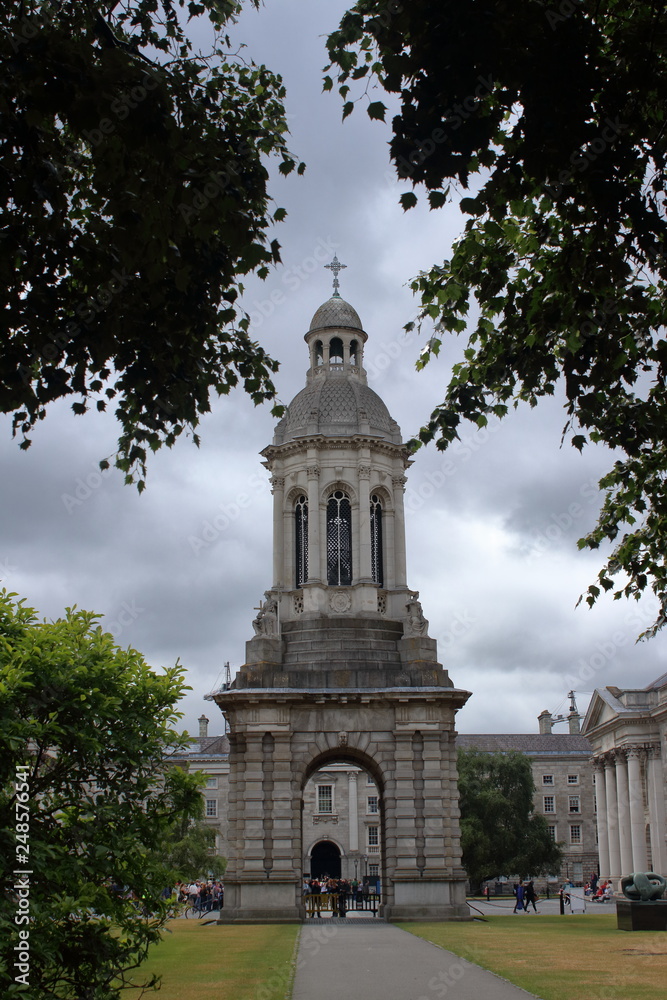 Obraz premium natural history