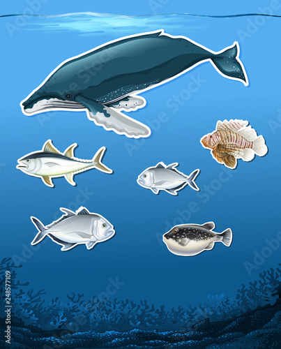 Many fish underwater theme