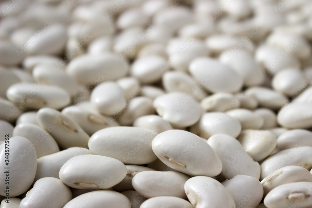 Lots of white large beans, background. Useful legumes Lots of white large beans, background. Useful legumes
