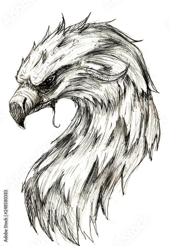 Fototapeta Naklejka Na Ścianę i Meble -  Sketch of an Eagle