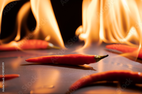 Red chili peppers. Sharp red siliculose pepper against a flame. photo