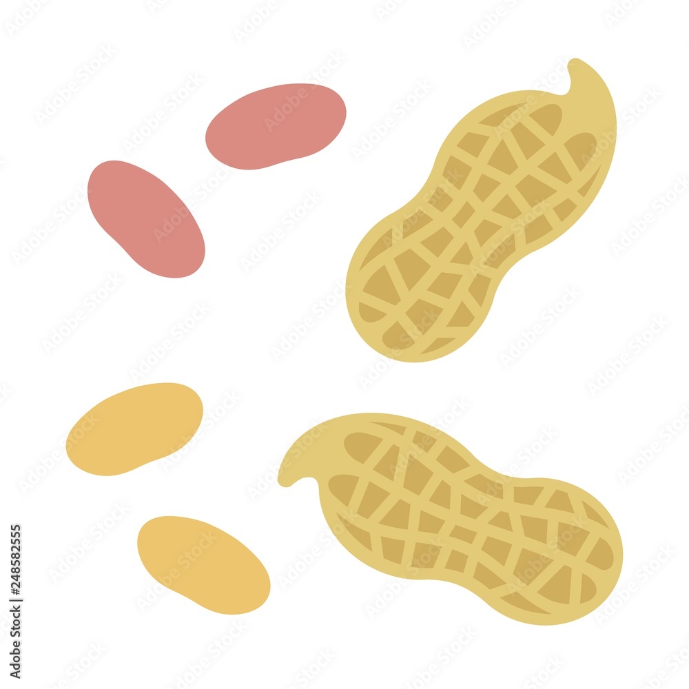 落花生とピーナッツ Stock イラスト Adobe Stock