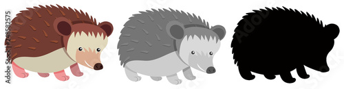 Set of hedgehog character