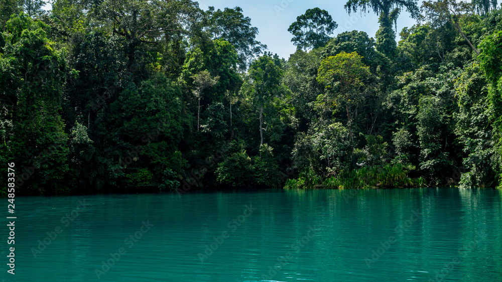 Obraz premium Labuhan Cermin, beautiful lake with two layer of water, freshwater on the top and saltwater in the bottom