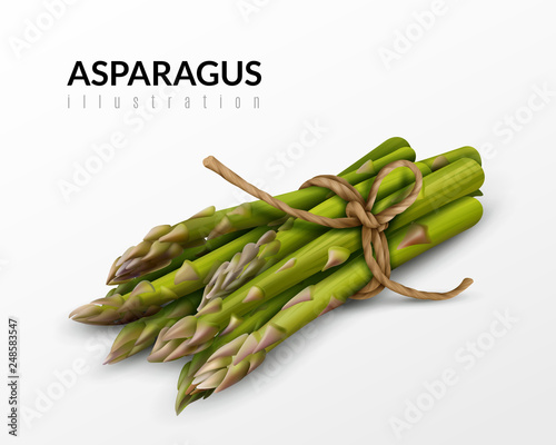 Asparagus Bunch Realistic Image 