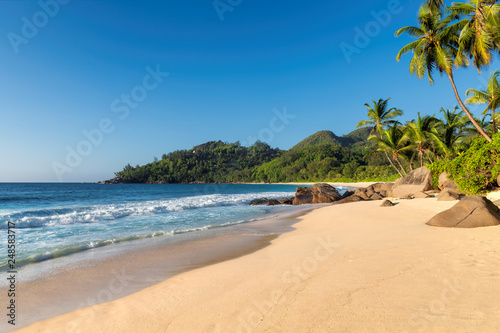 Sunny beach at sunset with palm and turquoise sea in Seychelles. Summer vacation and tropical beach concept. 