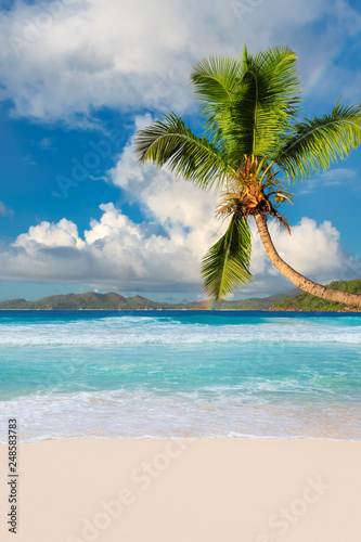 Fototapeta Naklejka Na Ścianę i Meble -  Sunny beach with coco palms and a sailing boats in the turquoise sea on Praslin, Seychelles.