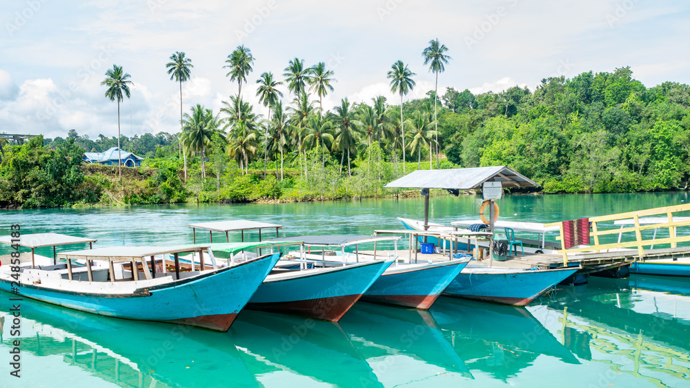 wooden boat docked at small harbor in Labuhan Cermin, Berau with beautiful coconut trees as the background