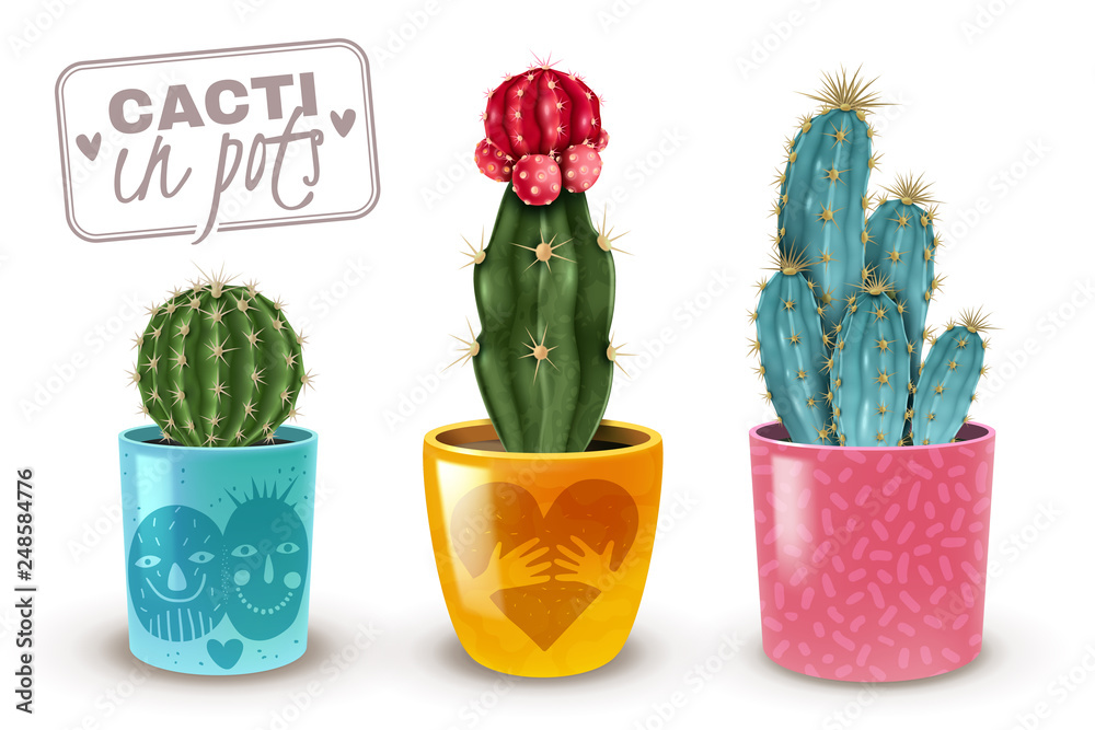 Fototapeta premium Cactus Pot Set 