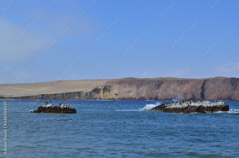 Desert and sea Desert and sea