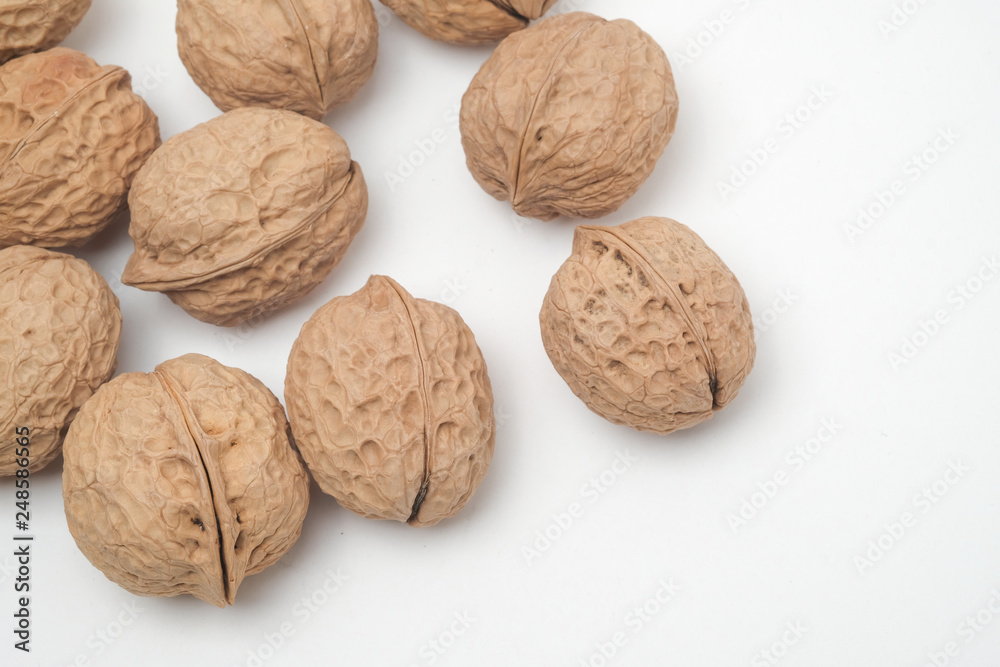 Walnut on a white scene Walnut on a white scene