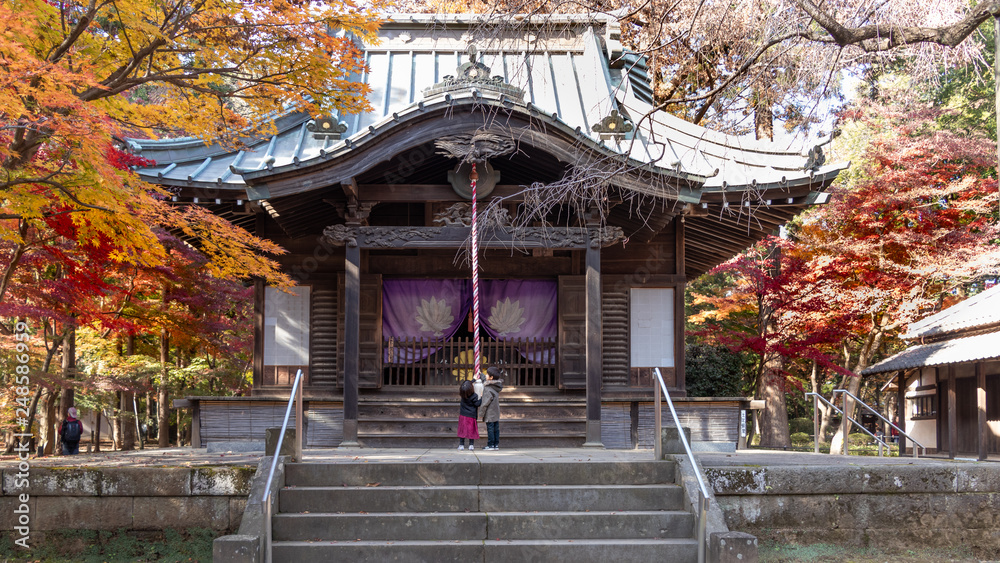 紅葉のお寺に兄弟でお参りの練習