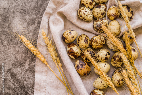 quail eggs on a table linen with ears of wheat on dark textured background