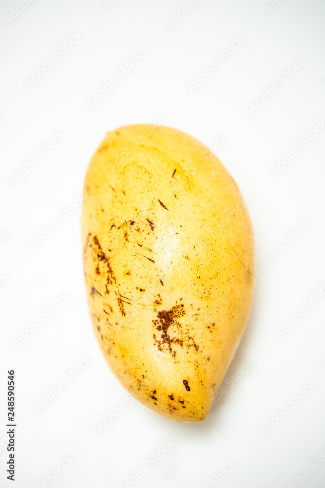 yellow mango on white background yellow mango on white background